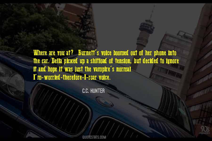 The Vampire Hunter Quotes #1504575