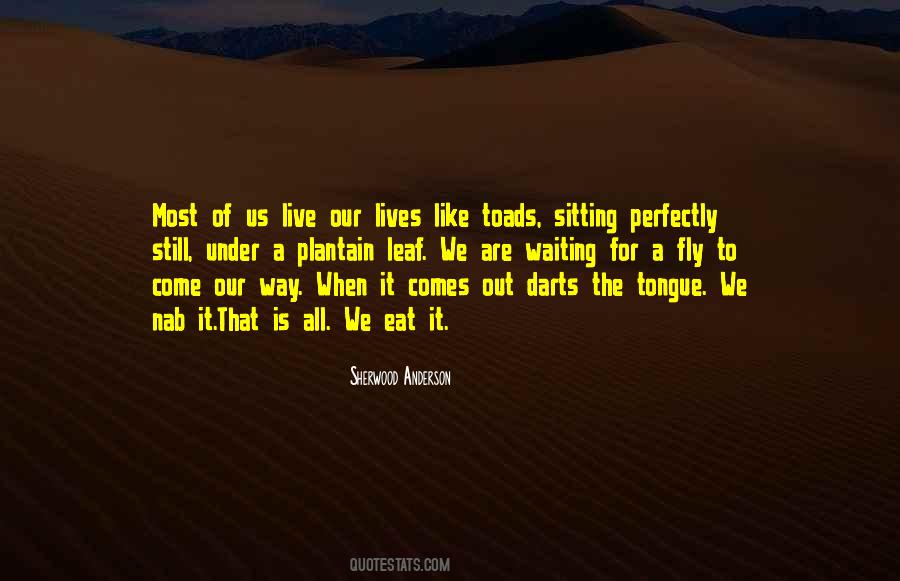 The Way We Live Our Life Quotes #616009