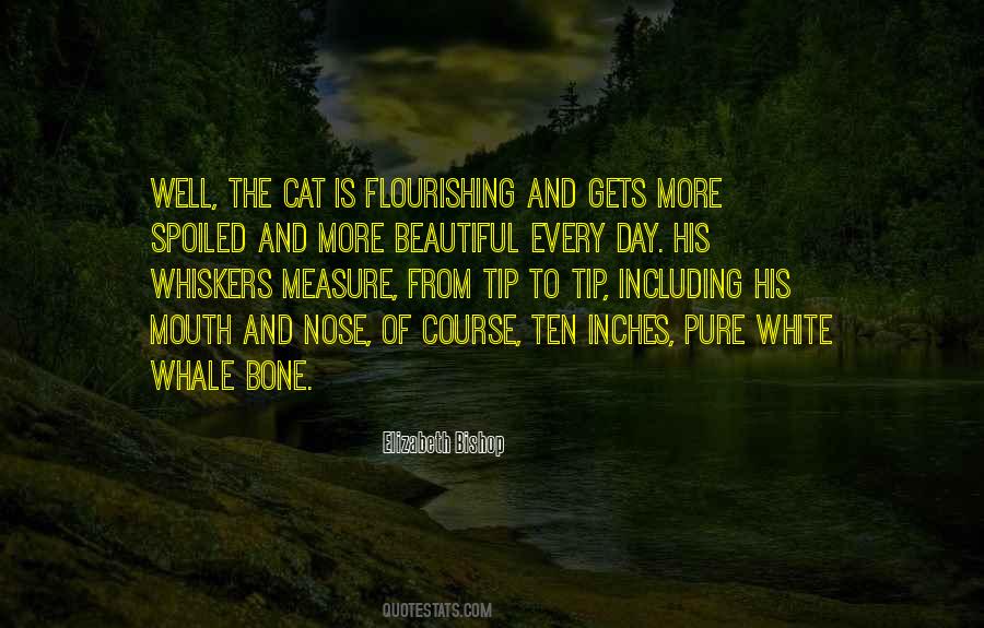 The White Bone Quotes #981657 The White Bone Quotes #981657