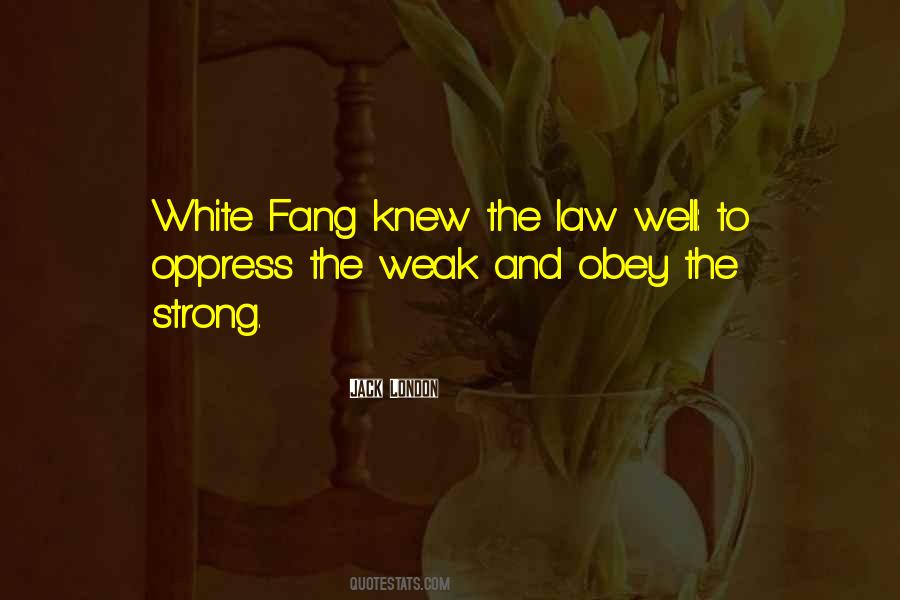 The White Fang Quotes #190968