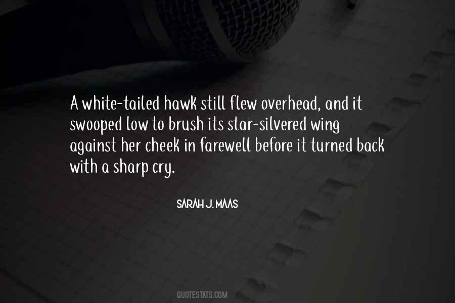 The White Hawk Quotes #1385056