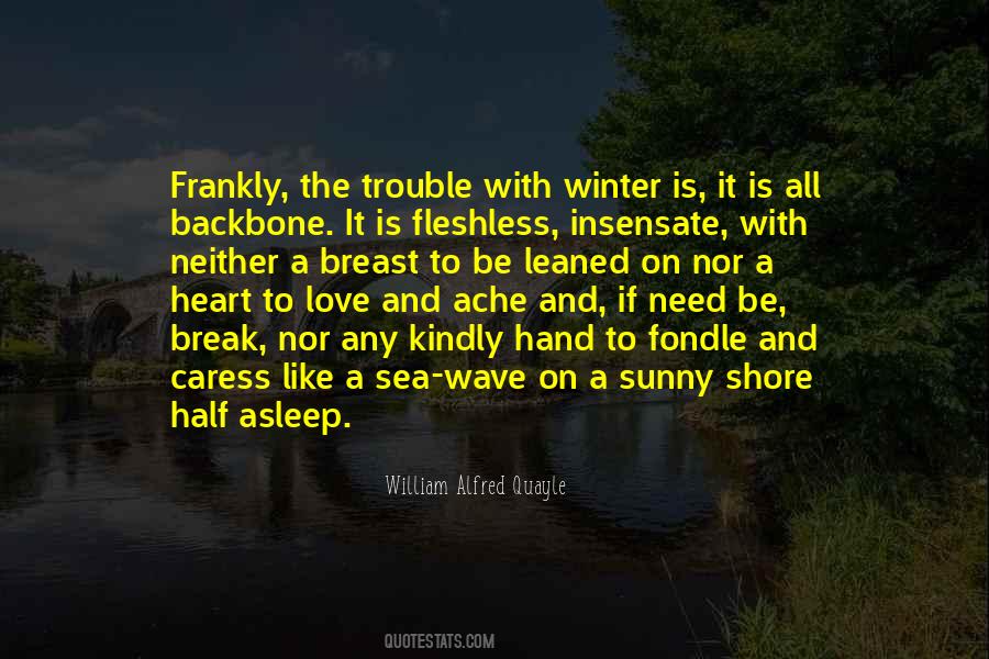 The Winter Sea Quotes #261374