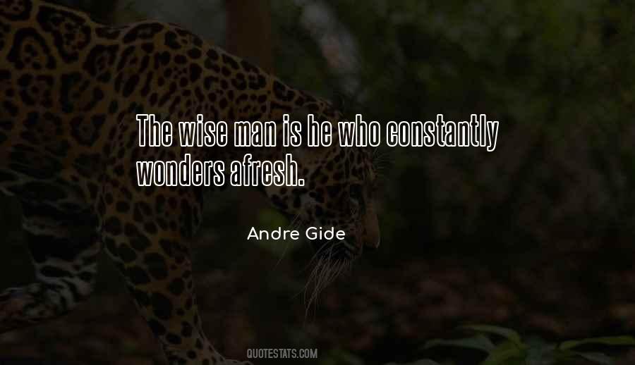 The Wise Man Quotes #1052459