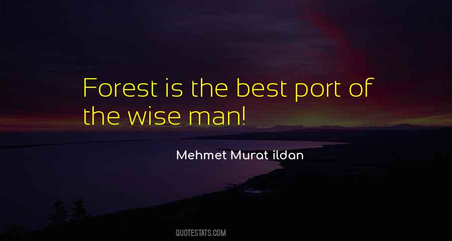 The Wise Man Quotes #1779502