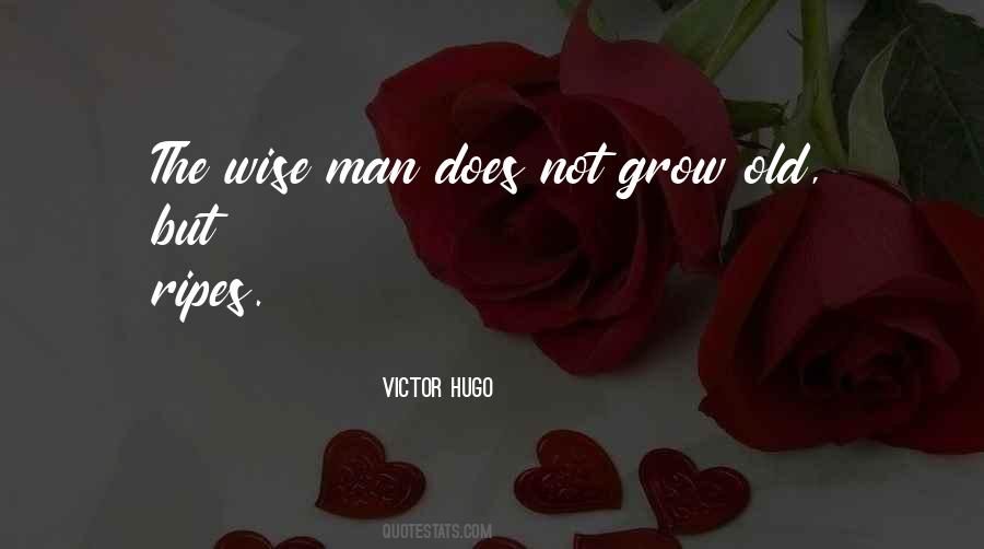 The Wise Man Quotes #1867855