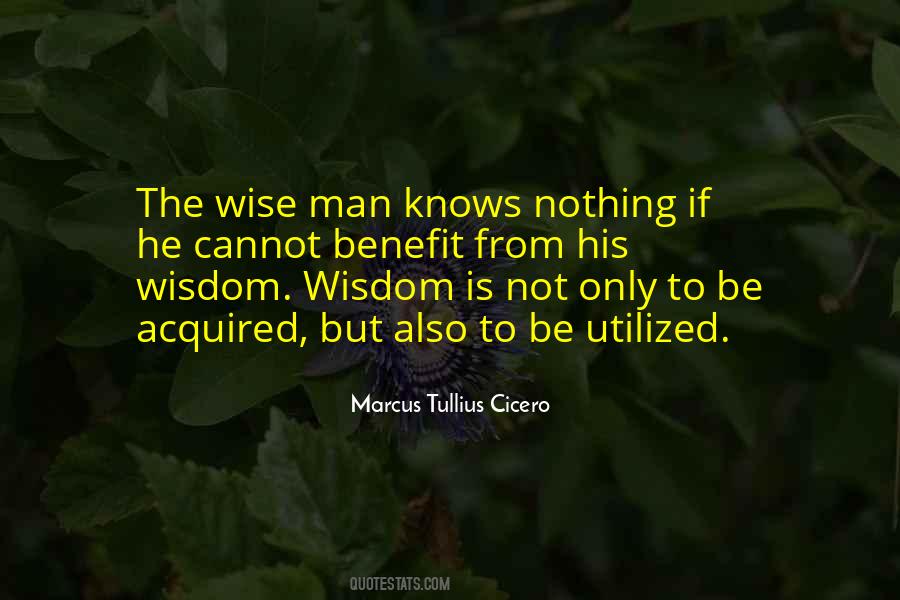 The Wise Man Quotes #92456