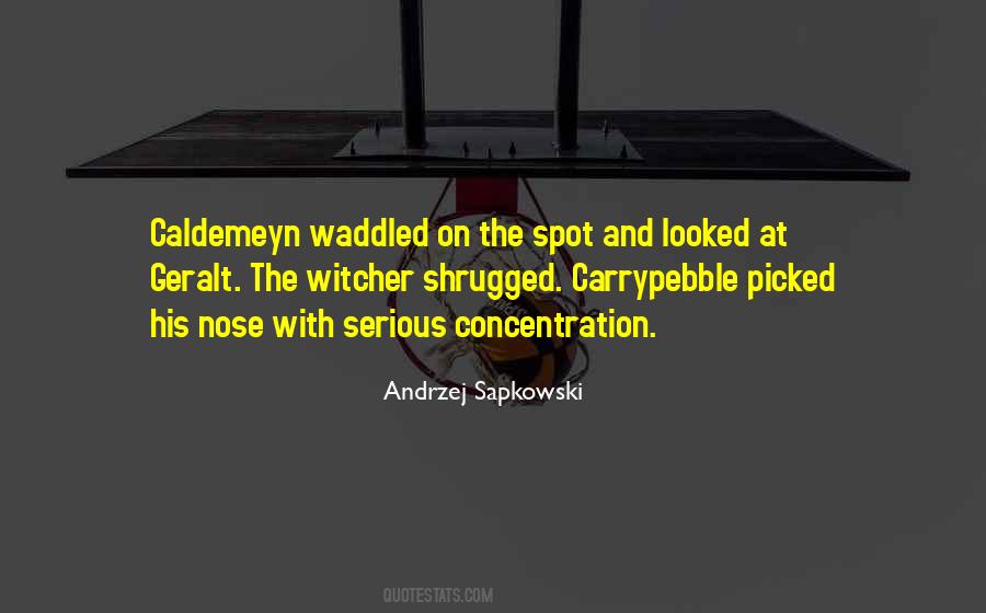 The Witcher 3 Best Quotes #626681
