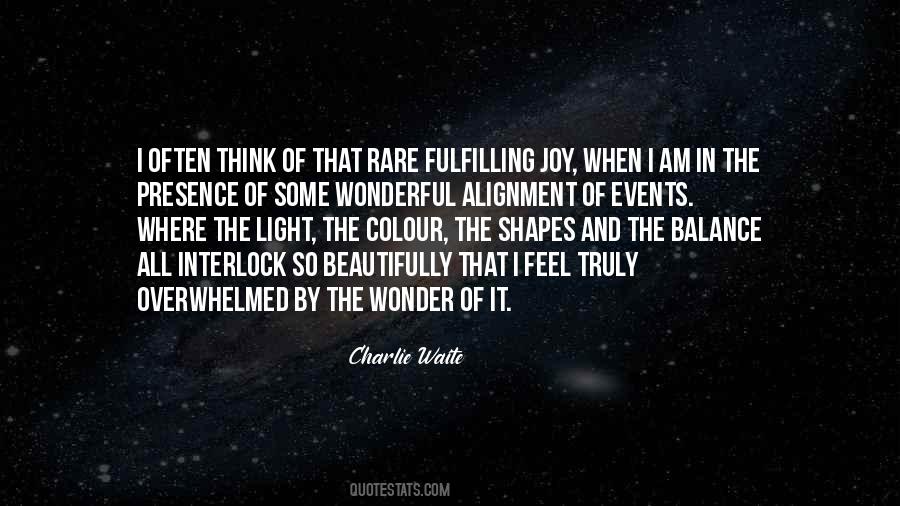 The Wonder Of It All Quotes #845411