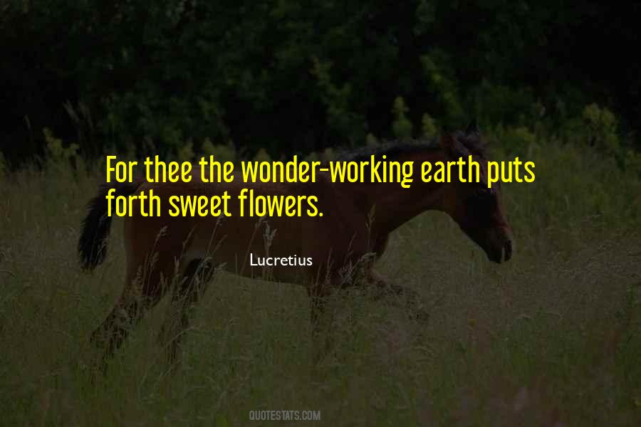 The Wonder Quotes #1048294