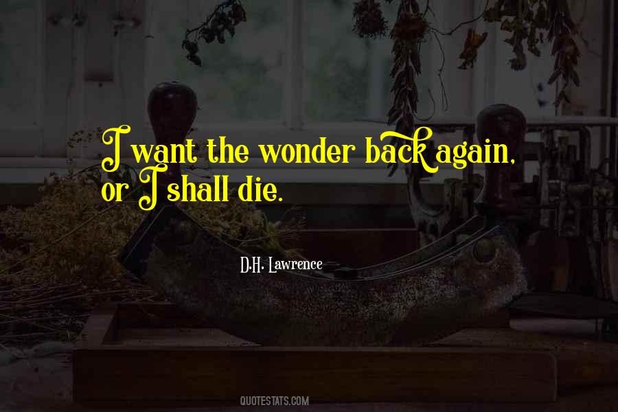 The Wonder Quotes #1655228