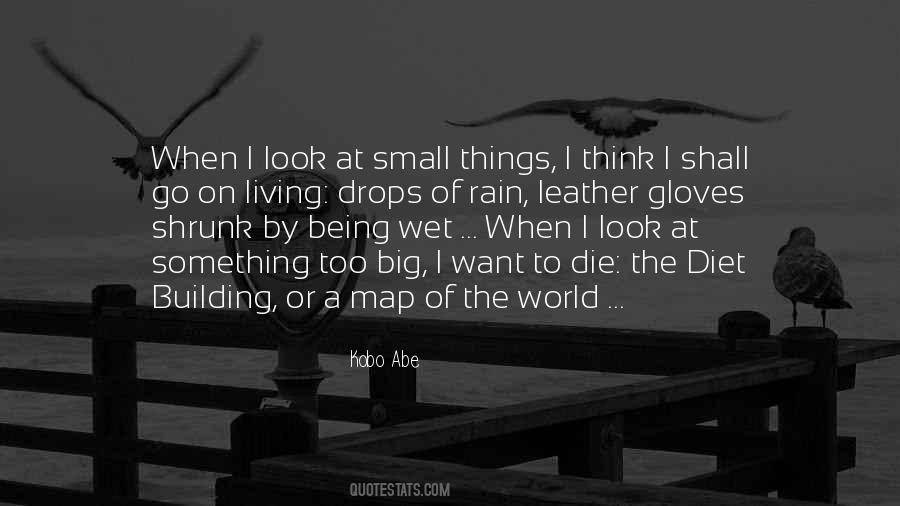 The World Is So Big And I Am So Small Quotes #324454