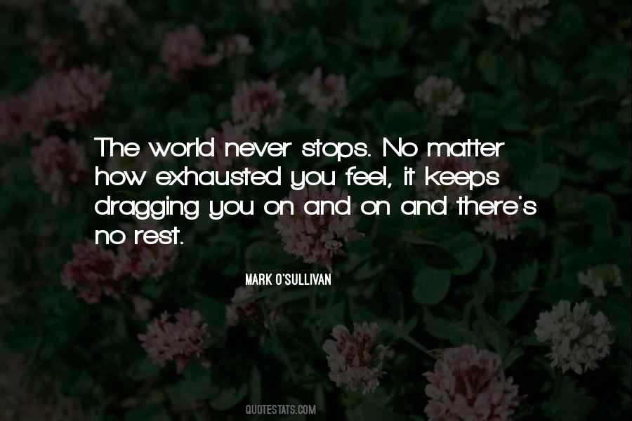The World Never Stops Quotes #1347034