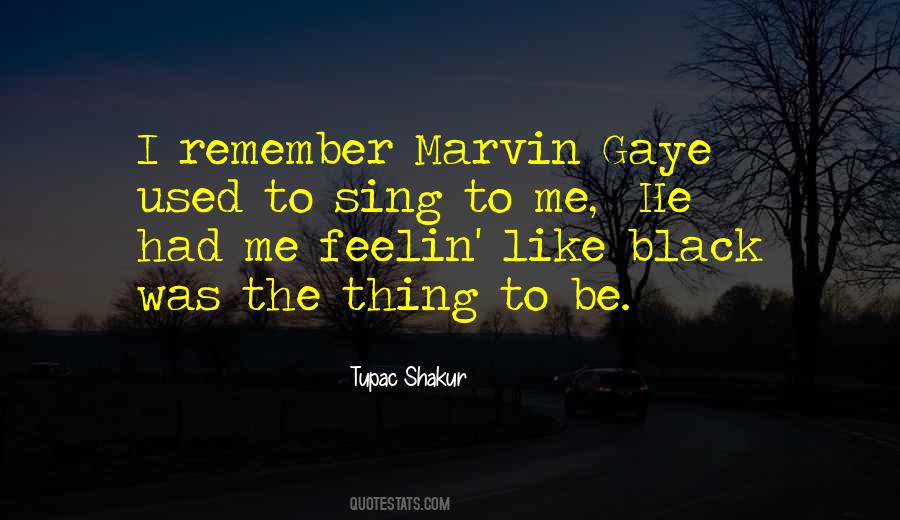 Quotes About Marvin Gaye #1468852