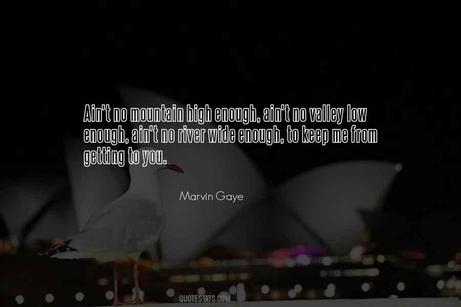 Quotes About Marvin Gaye #302549