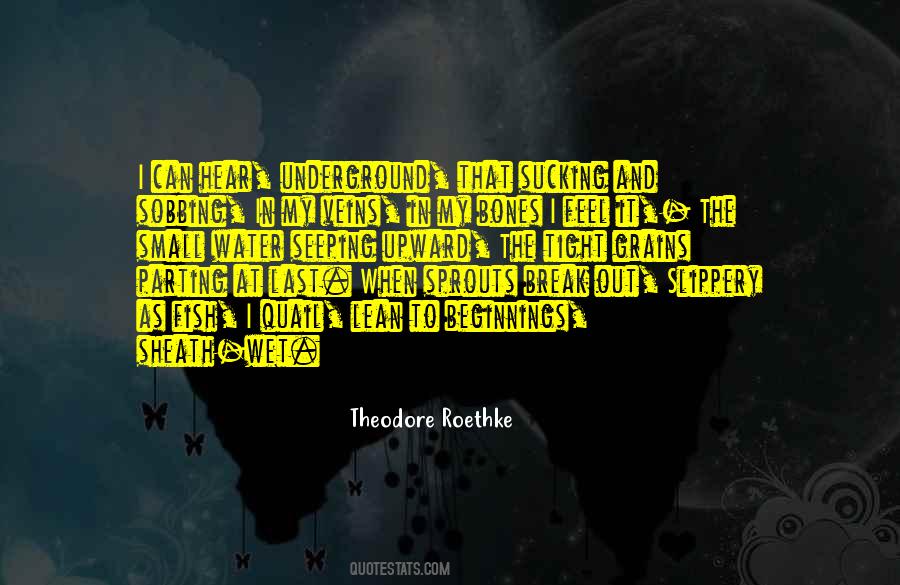 Theodore Quotes #53904 Theodore Quotes #53904