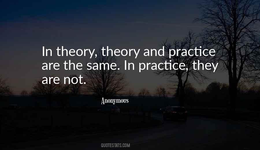 Theory And Practice Quotes #1062004