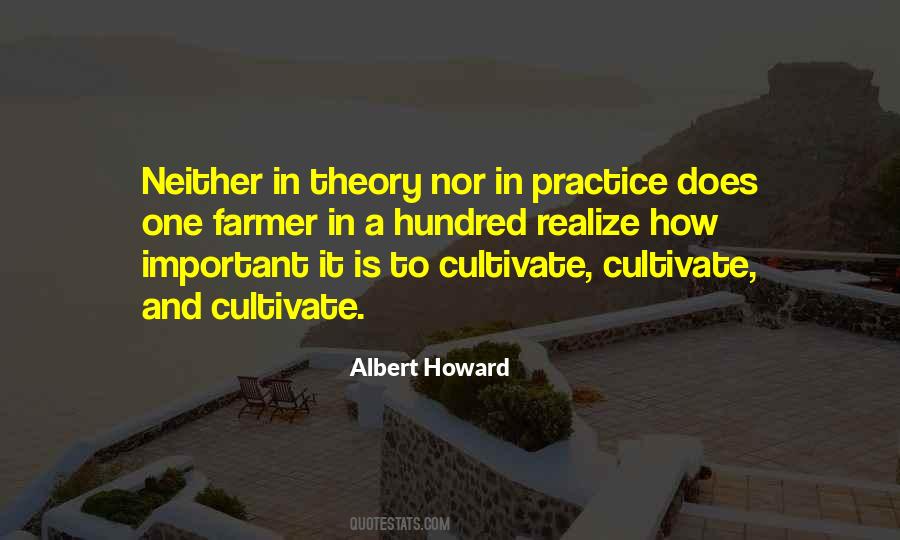 Theory And Practice Quotes #510159