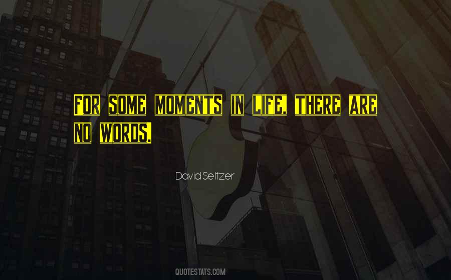 There Are Moments In Life Quotes #234732