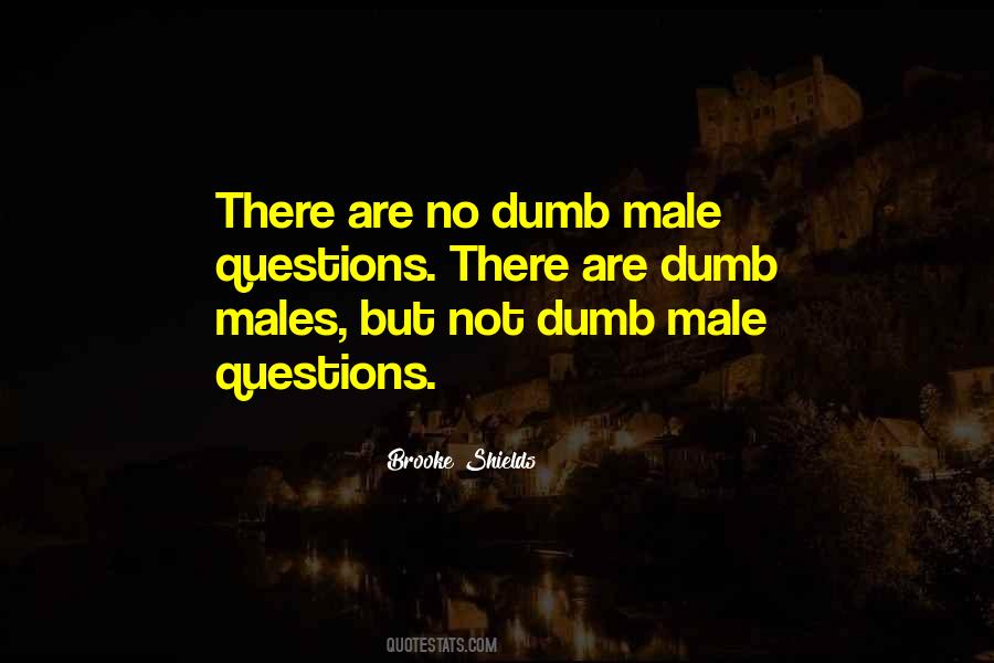 There Are No Dumb Questions Quotes #1699366