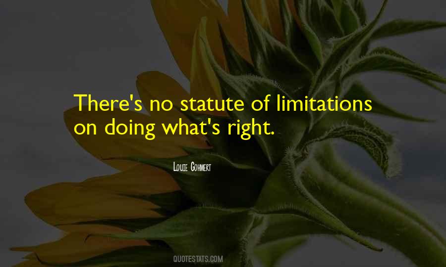 There Are No Limitations Quotes #59889