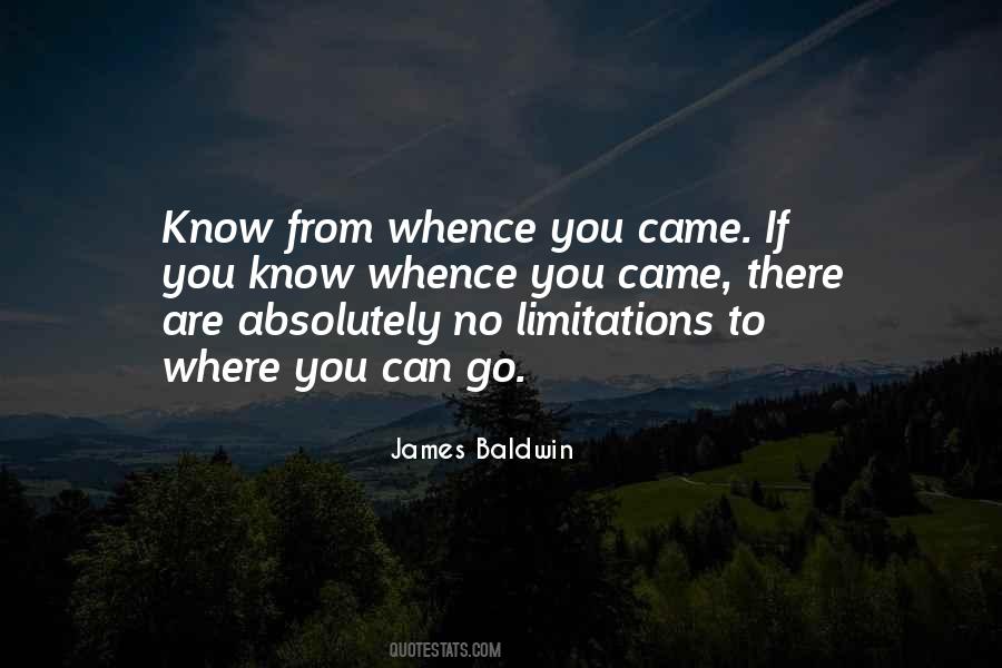There Are No Limitations Quotes #973478