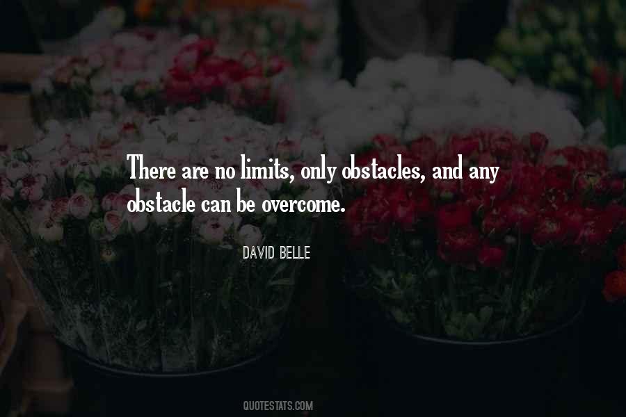 There Are No Limits Quotes #1158529