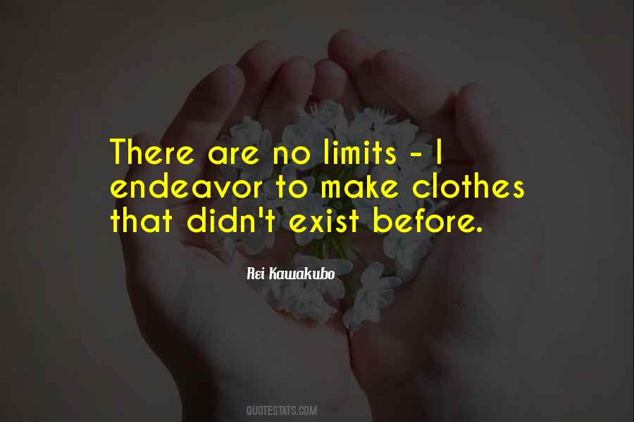 There Are No Limits Quotes #1528570