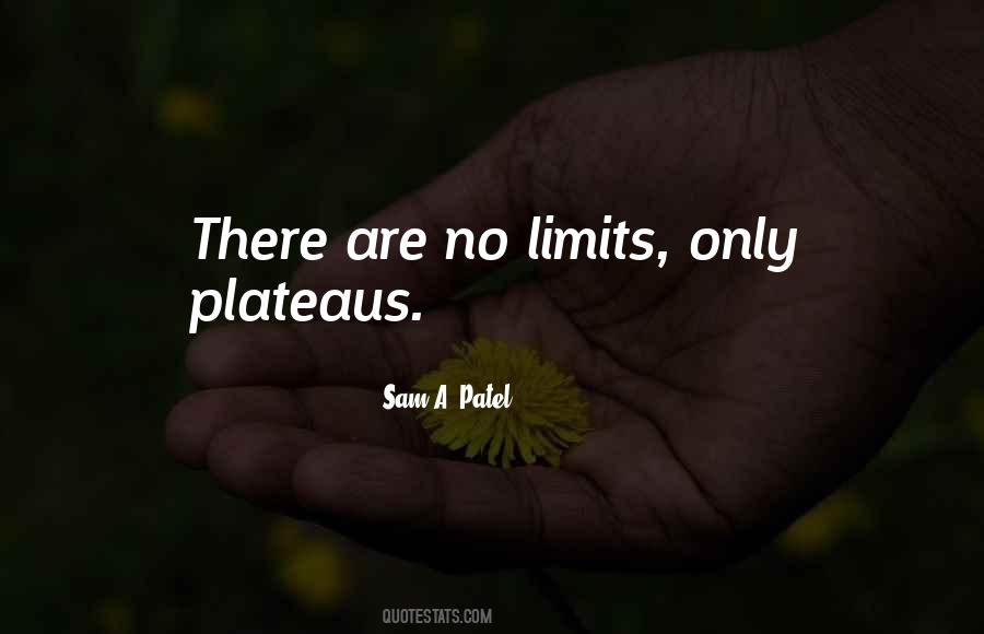 There Are No Limits Quotes #1870427