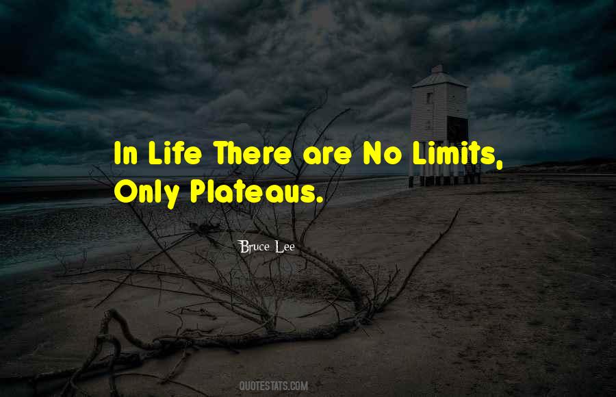 There Are No Limits Quotes #1872116
