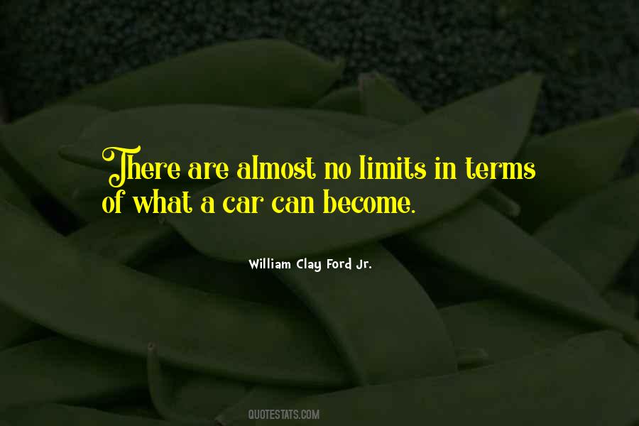 There Are No Limits Quotes #719362