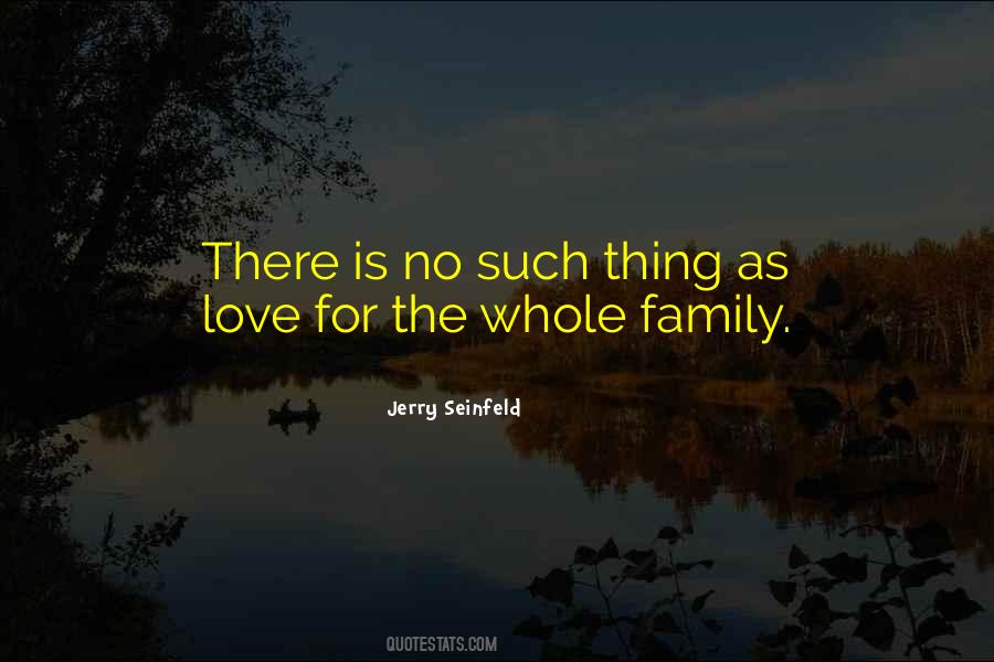 There Is No Family Quotes #1001943