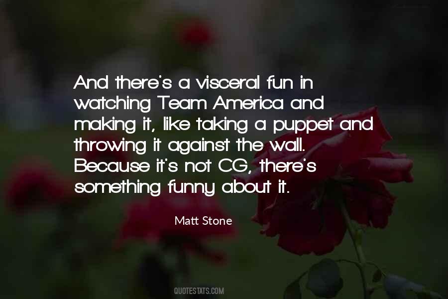 There Is No I In Team Funny Quotes #407740