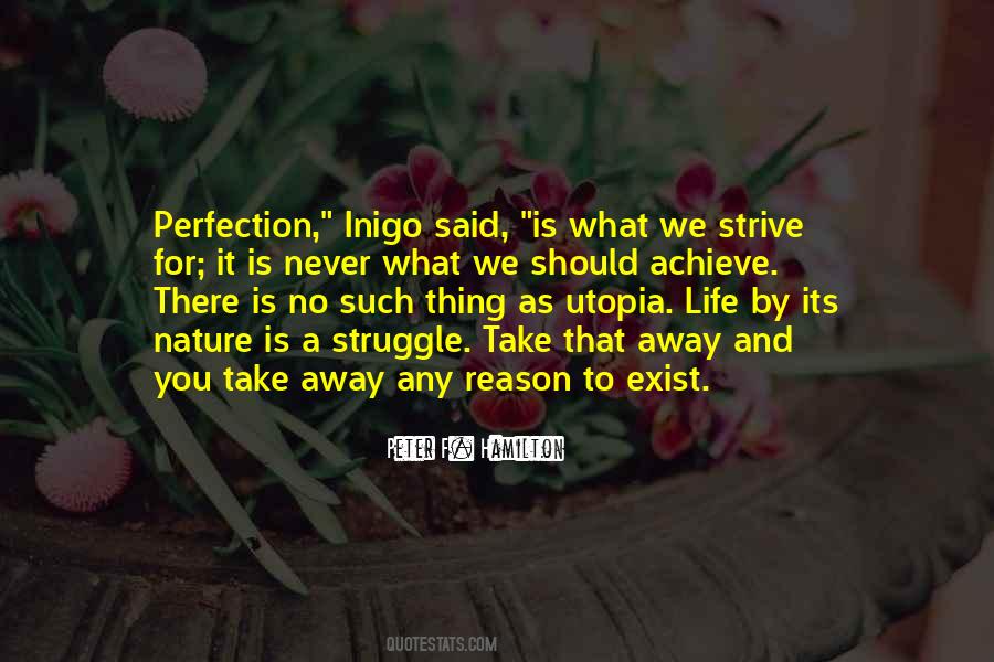 There Is No Perfection Quotes #11435