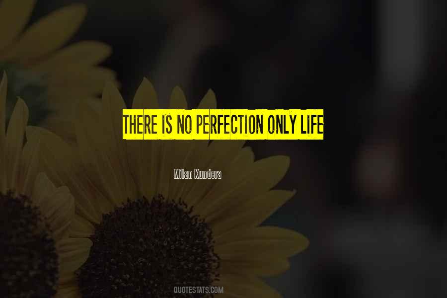 There Is No Perfection Quotes #120861