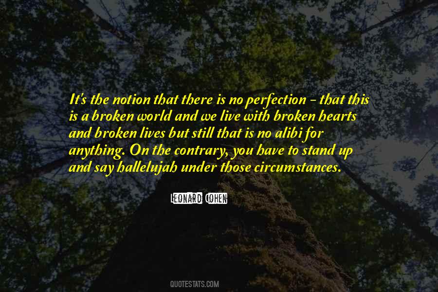 There Is No Perfection Quotes #1356975