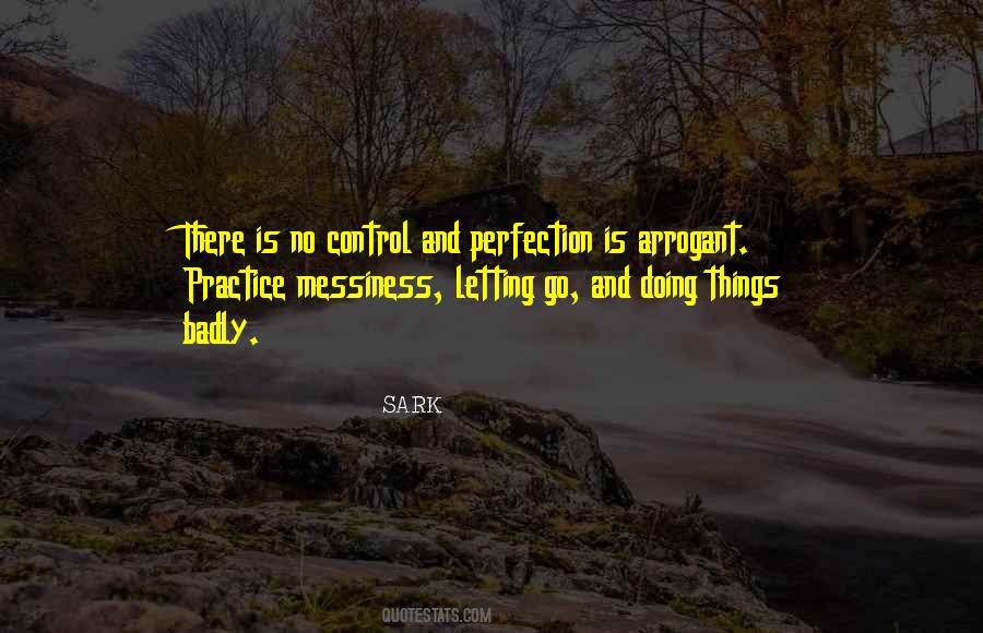 There Is No Perfection Quotes #1530163