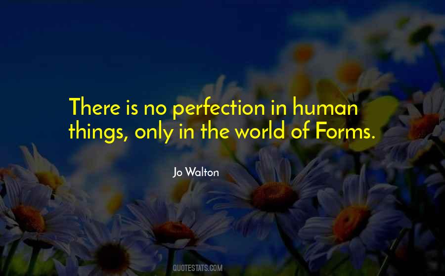 There Is No Perfection Quotes #1623565