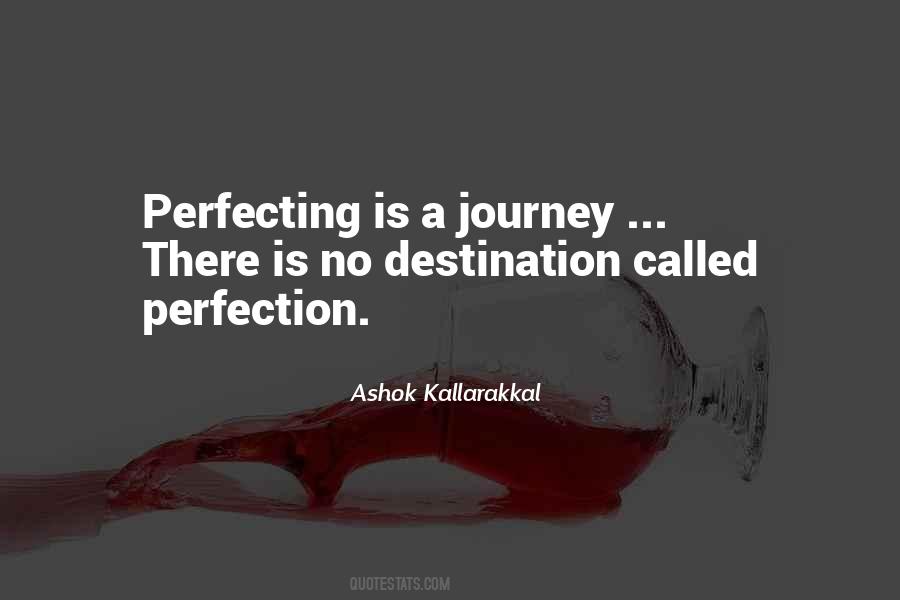 There Is No Perfection Quotes #1665718