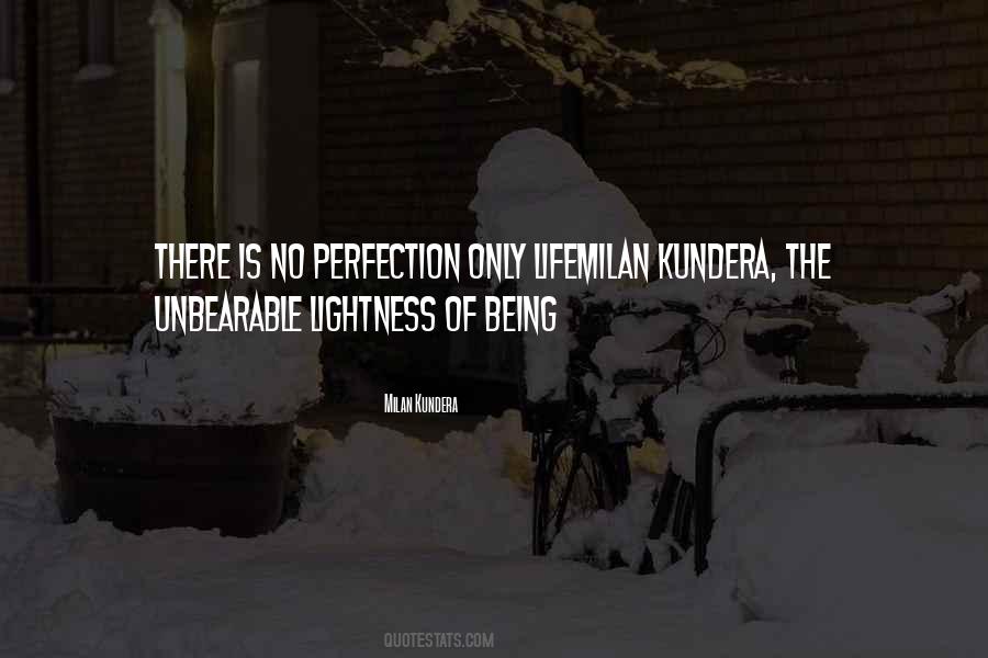 There Is No Perfection Quotes #1741486