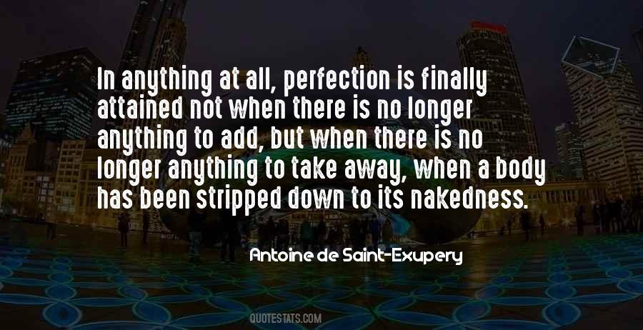 There Is No Perfection Quotes #718258