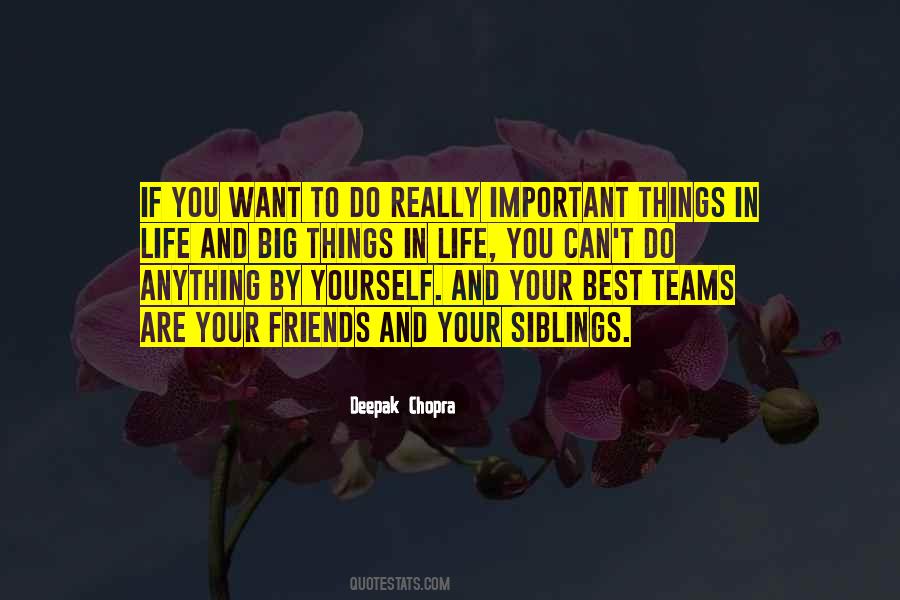 There's More Important Things In Life Quotes #109200