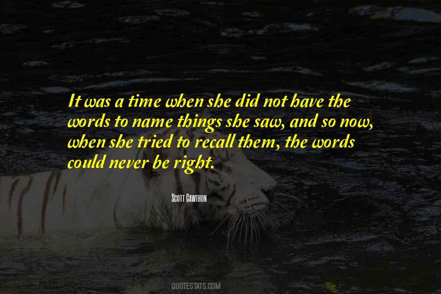 There's Never A Right Time Quotes #177238