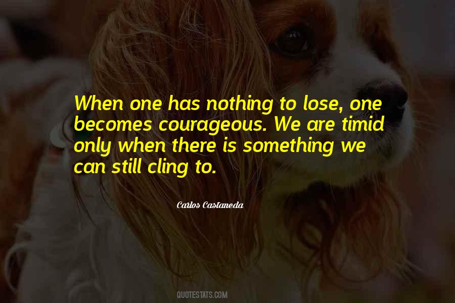 There's Nothing To Lose Quotes #154017
