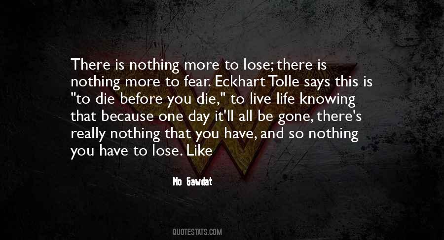 There's Nothing To Lose Quotes #649792