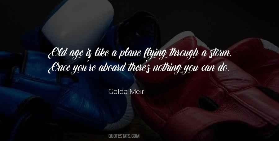 There's Nothing You Can Do Quotes #593422