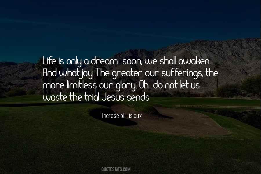 Therese Lisieux Quotes #331328