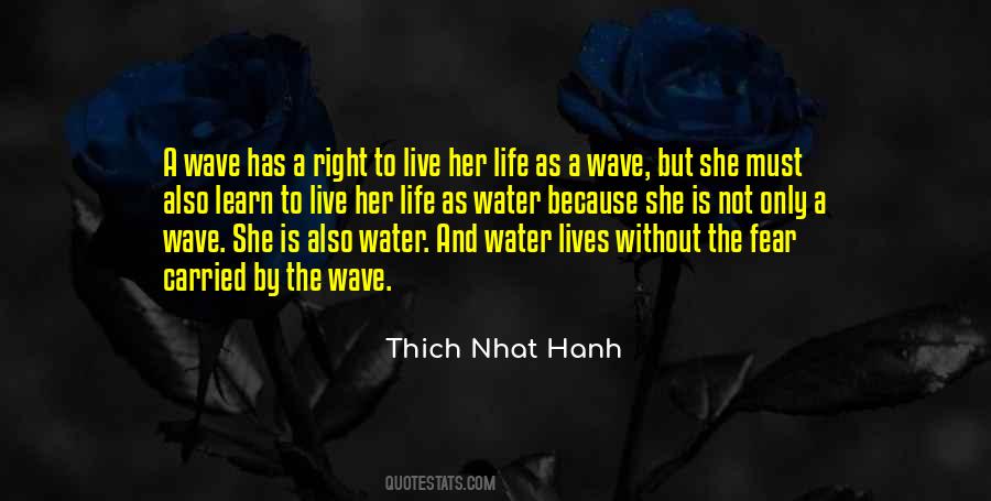 Thich Nhat Quotes #269124