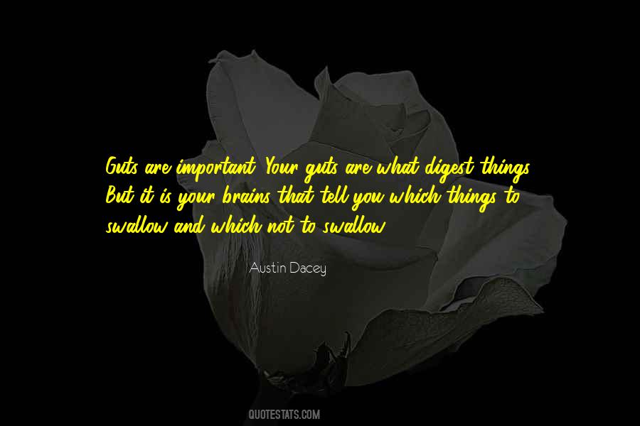 Things Are Not Important Quotes #615937
