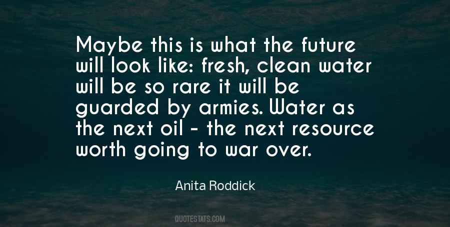 Quotes About Anita Roddick #47228