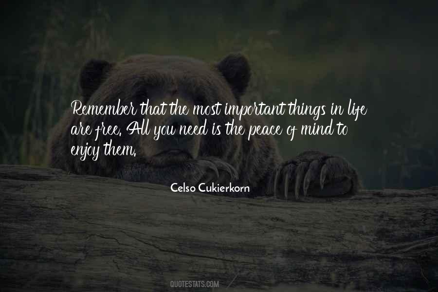 Things To Remember In Life Quotes #1606373